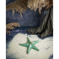 Фигурка "морская звезда" 19,5X3,5XH17,3CM, Cosy & Trendy