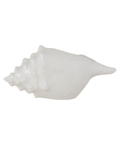 Фигурка Ракушка, 20,4X10,2XH9,5см, Cosy & Trendy